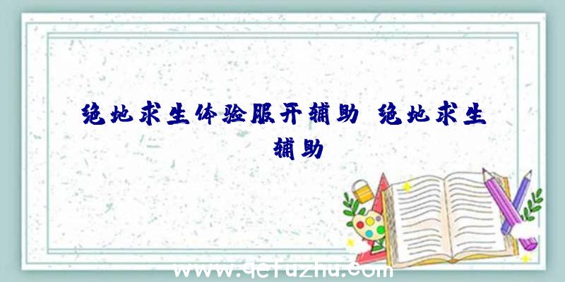 绝地求生体验服开辅助、绝地求生da辅助