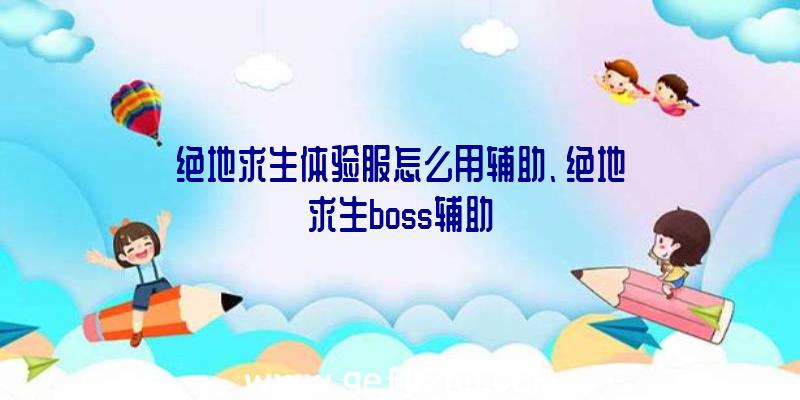 绝地求生体验服怎么用辅助、绝地求生boss辅助