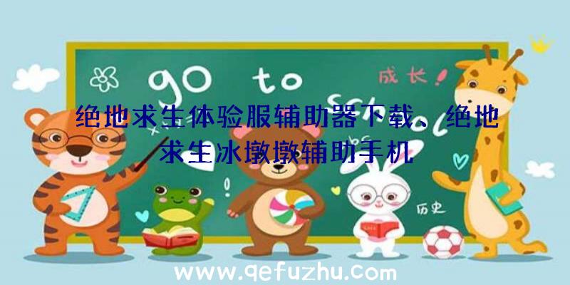 绝地求生体验服辅助器下载、绝地求生冰墩墩辅助手机