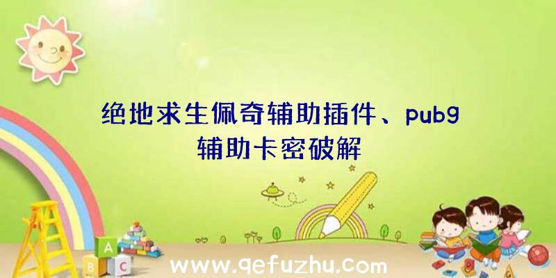 绝地求生佩奇辅助插件、pubg辅助卡密破解