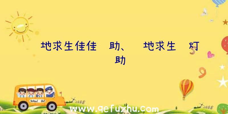 绝地求生佳佳辅助、绝地求生蓝灯辅助