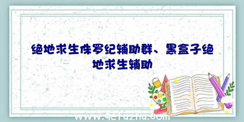 绝地求生侏罗纪辅助群、黑盒子绝地求生辅助