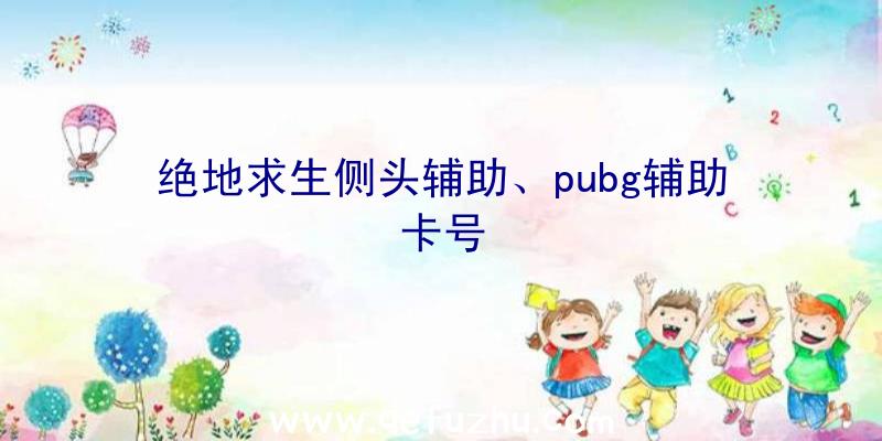 绝地求生侧头辅助、pubg辅助卡号