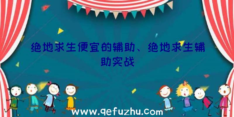 绝地求生便宜的辅助、绝地求生辅助实战