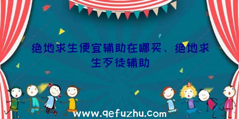 绝地求生便宜辅助在哪买、绝地求生歹徒辅助