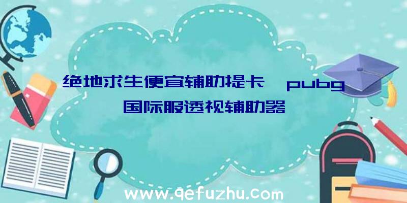 绝地求生便宜辅助提卡、pubg国际服透视辅助器