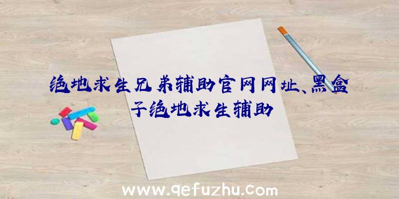 绝地求生兄弟辅助官网网址、黑盒子绝地求生辅助