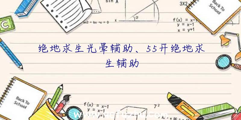 绝地求生光晕辅助、55开绝地求生辅助