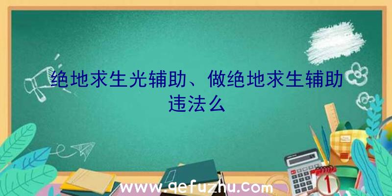 绝地求生光辅助、做绝地求生辅助违法么