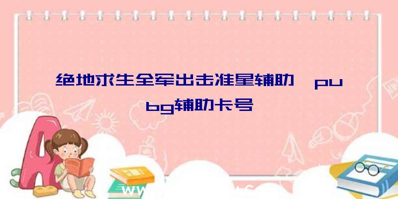 绝地求生全军出击准星辅助、pubg辅助卡号