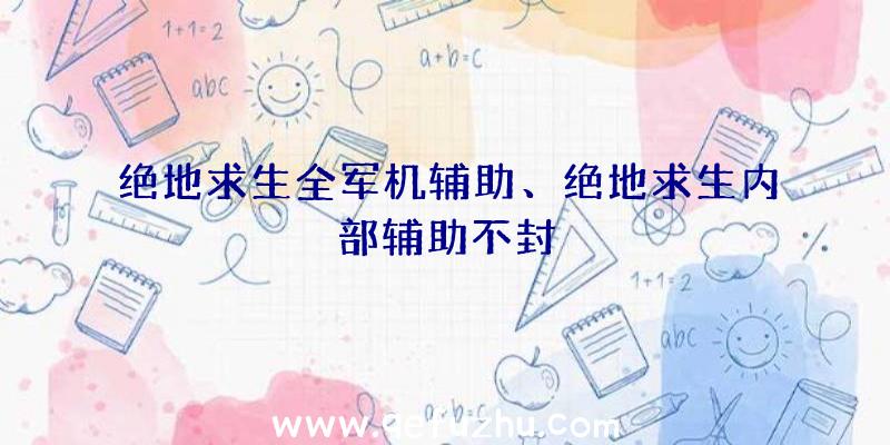 绝地求生全军机辅助、绝地求生内部辅助不封