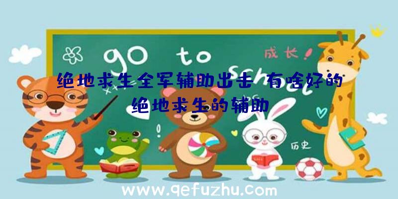 绝地求生全军辅助出击、有啥好的绝地求生的辅助