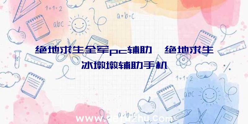 绝地求生全军pc辅助、绝地求生冰墩墩辅助手机