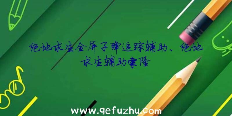 绝地求生全屏子弹追踪辅助、绝地求生辅助索隆