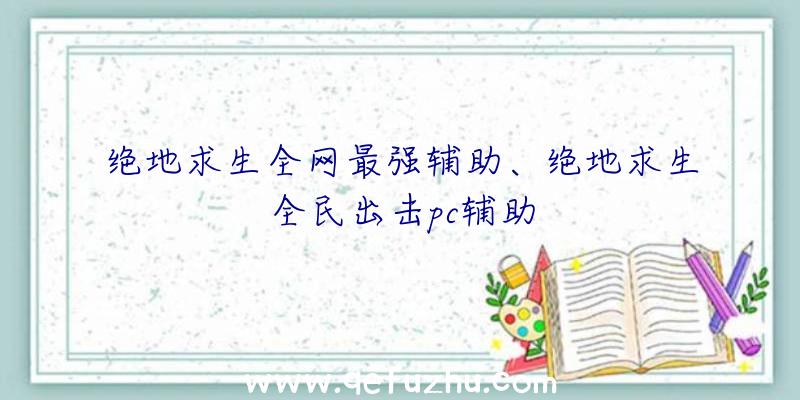 绝地求生全网最强辅助、绝地求生全民出击pc辅助