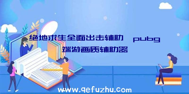 绝地求生全面出击辅助、pubg端游画质辅助器