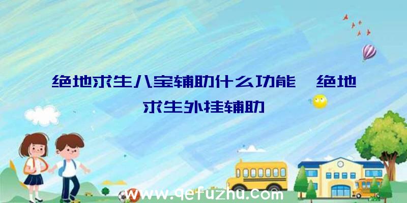 绝地求生八宝辅助什么功能、绝地求生外挂辅助