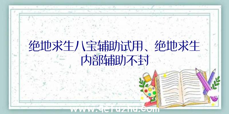 绝地求生八宝辅助试用、绝地求生内部辅助不封