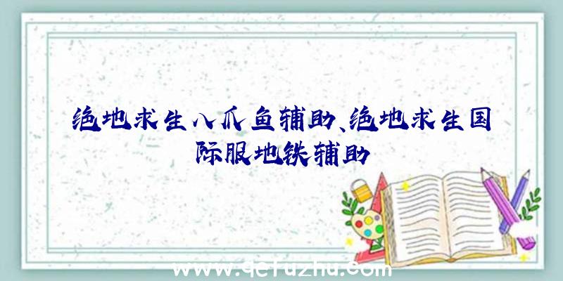 绝地求生八爪鱼辅助、绝地求生国际服地铁辅助