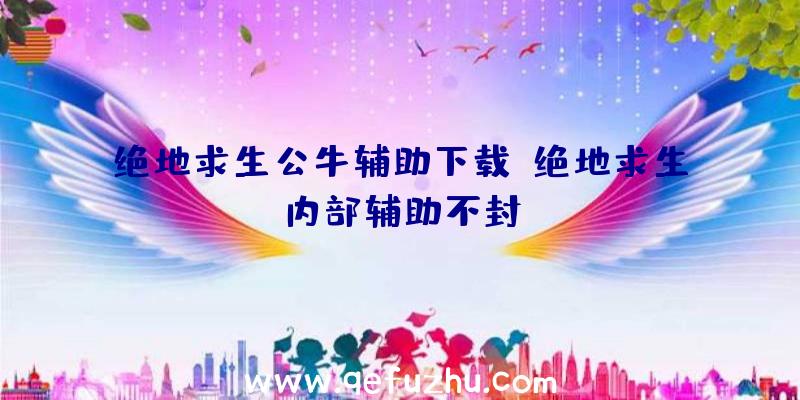 绝地求生公牛辅助下载、绝地求生内部辅助不封