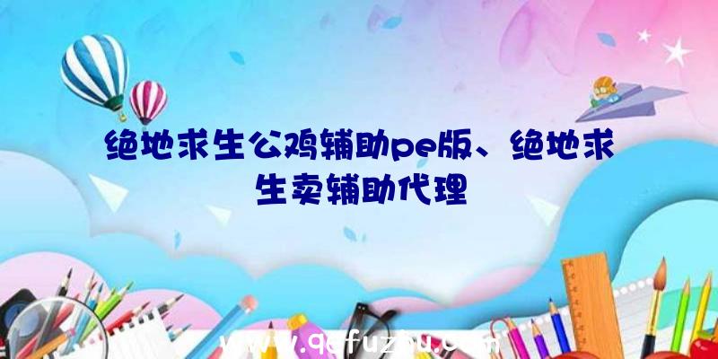 绝地求生公鸡辅助pe版、绝地求生卖辅助代理