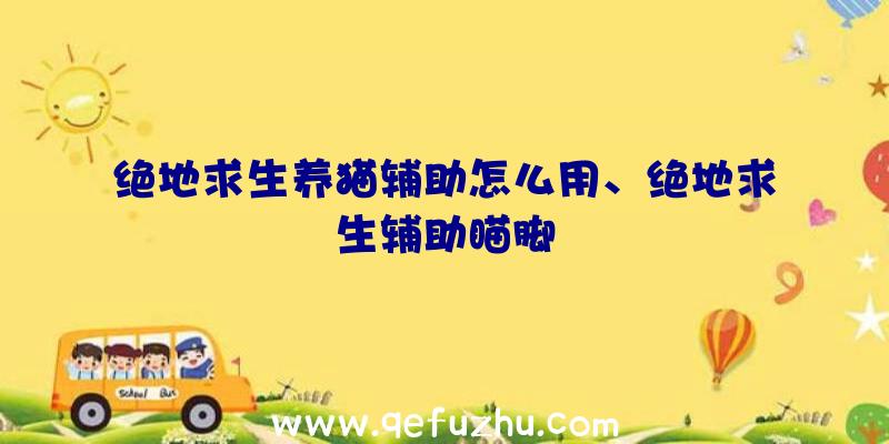 绝地求生养猫辅助怎么用、绝地求生辅助瞄脚