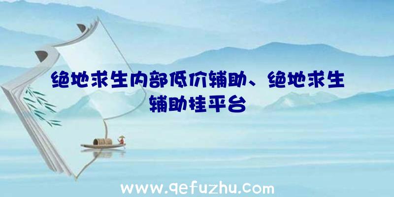 绝地求生内部低价辅助、绝地求生辅助挂平台