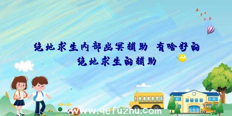 绝地求生内部幽冥辅助、有啥好的绝地求生的辅助