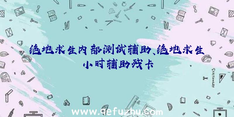 绝地求生内部测试辅助、绝地求生小时辅助残卡