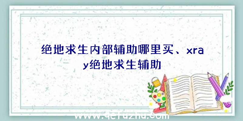 绝地求生内部辅助哪里买、xray绝地求生辅助