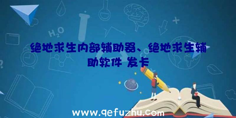 绝地求生内部辅助器、绝地求生辅助软件