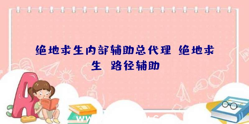 绝地求生内部辅助总代理、绝地求生