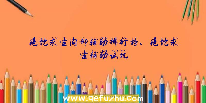 绝地求生内部辅助排行榜、绝地求生辅助试玩