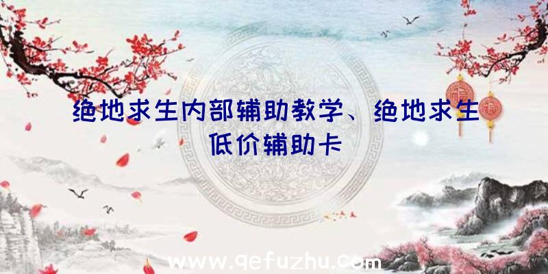 绝地求生内部辅助教学、绝地求生低价辅助卡