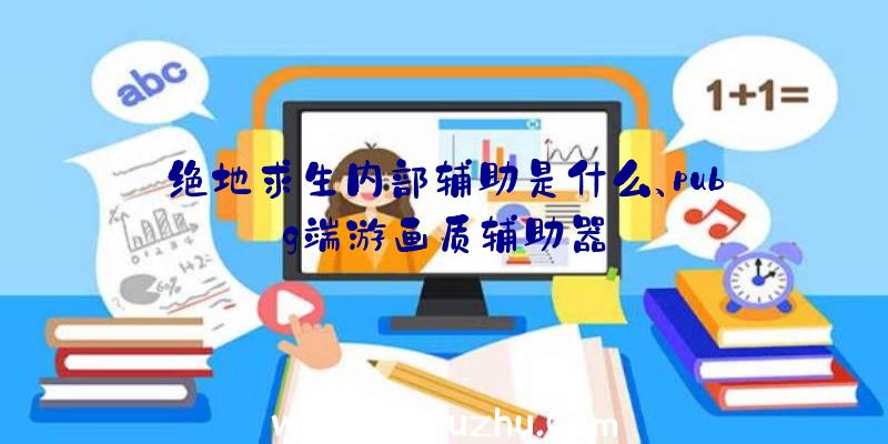 绝地求生内部辅助是什么、pubg端游画质辅助器