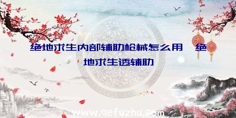 绝地求生内部辅助枪械怎么用、绝地求生透辅助