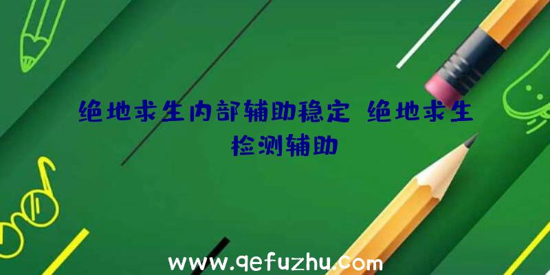 绝地求生内部辅助稳定、绝地求生