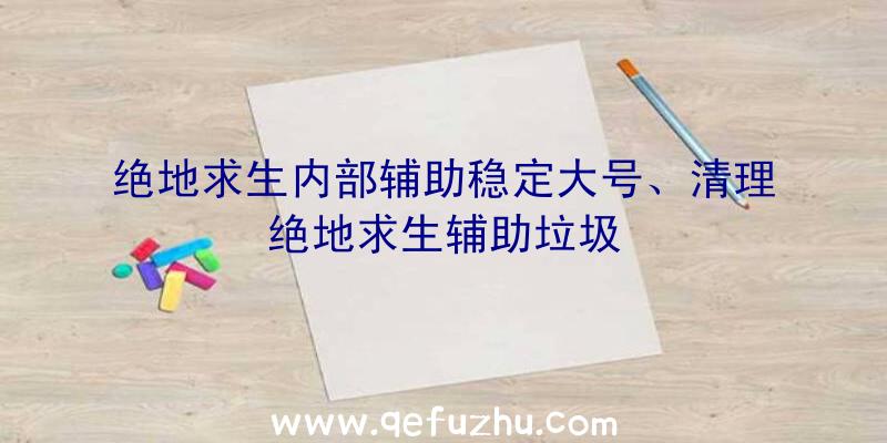 绝地求生内部辅助稳定大号、清理绝地求生辅助垃圾