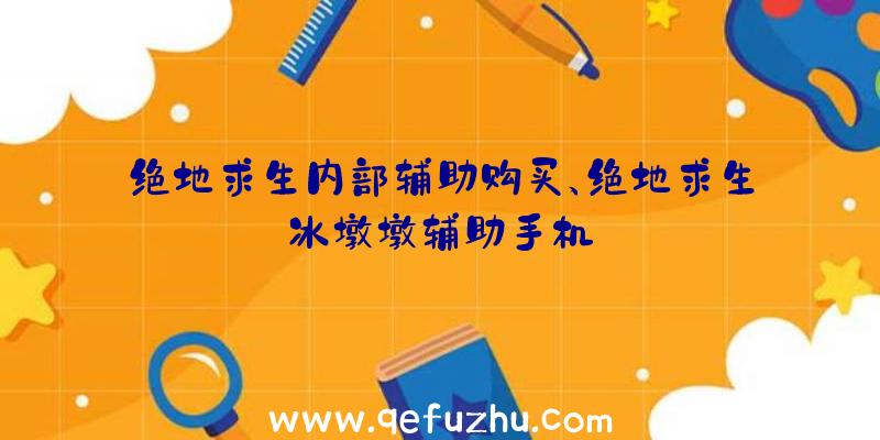 绝地求生内部辅助购买、绝地求生冰墩墩辅助手机