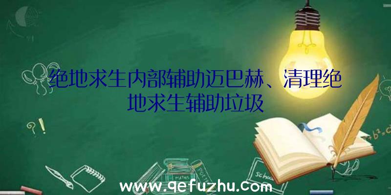 绝地求生内部辅助迈巴赫、清理绝地求生辅助垃圾