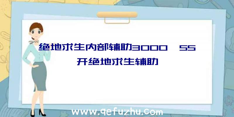 绝地求生内部辅助3000、55开绝地求生辅助