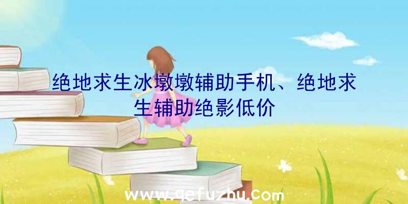 绝地求生冰墩墩辅助手机、绝地求生辅助绝影低价