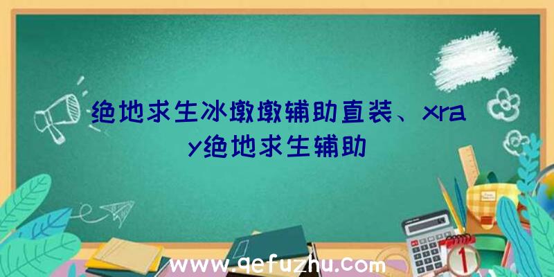 绝地求生冰墩墩辅助直装、xray绝地求生辅助