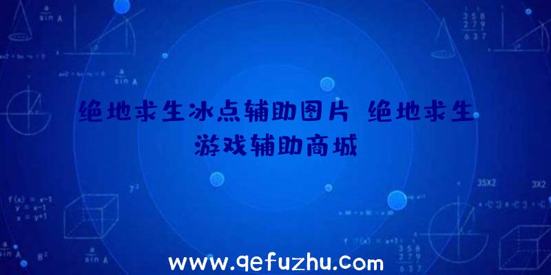 绝地求生冰点辅助图片、绝地求生游戏辅助商城