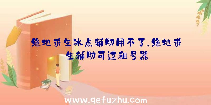 绝地求生冰点辅助用不了、绝地求生辅助可过租号器