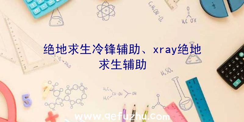 绝地求生冷锋辅助、xray绝地求生辅助