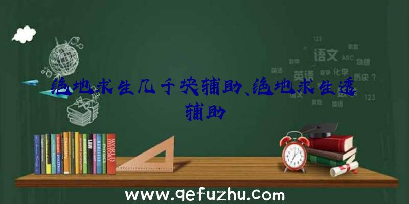 绝地求生几千块辅助、绝地求生透辅助