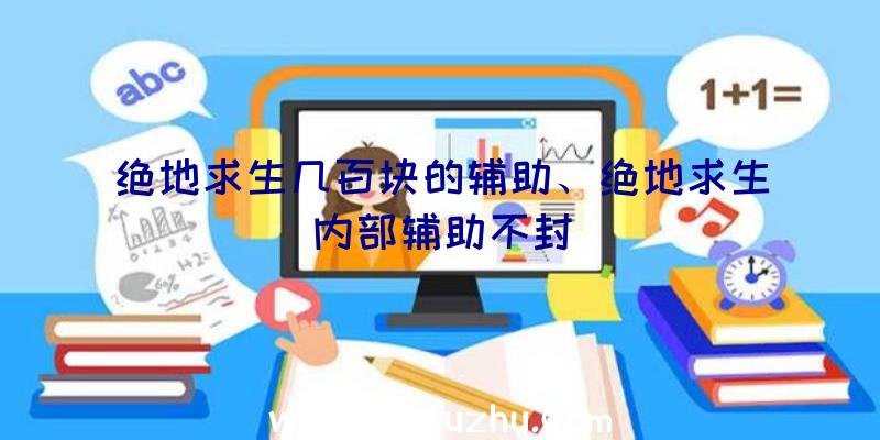 绝地求生几百块的辅助、绝地求生内部辅助不封