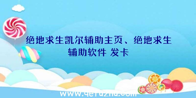 绝地求生凯尔辅助主页、绝地求生辅助软件