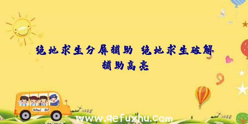 绝地求生分屏辅助、绝地求生破解辅助高亮